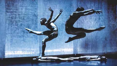 Dresden Frankfurt Dance Company - When the dust settles