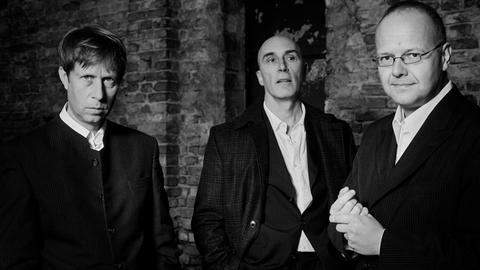 Trio Lezard