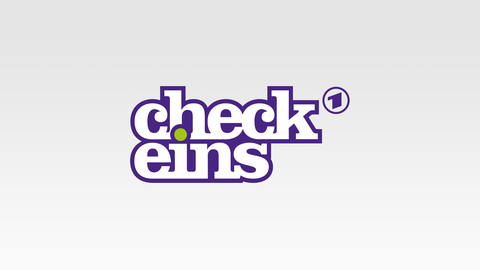 CheckEins Logo